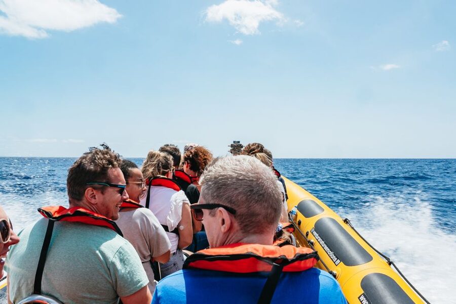 Funchal: Whale and Dolphin Watching Speed Boat Tour - What the Marine Biologist Actually Teaches You