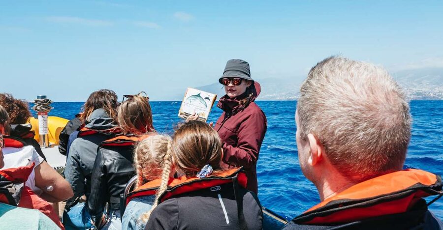 Funchal: Whale and Dolphin Watching Speed Boat Tour - Pier 8 Check-In at Ventura Nature Emotions