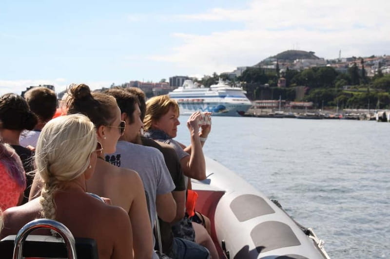 Funchal: Whale Watching and Swimming with Dolphins Cruise - Madeira’s Whale and Dolphin Hunt: What You’re Really Buying