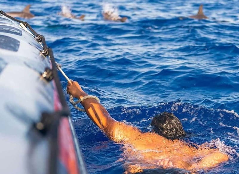 Funchal: Whale Watching and Swimming with Dolphins Cruise - The Boat Ride: Fast, Active, and Built for Sightings