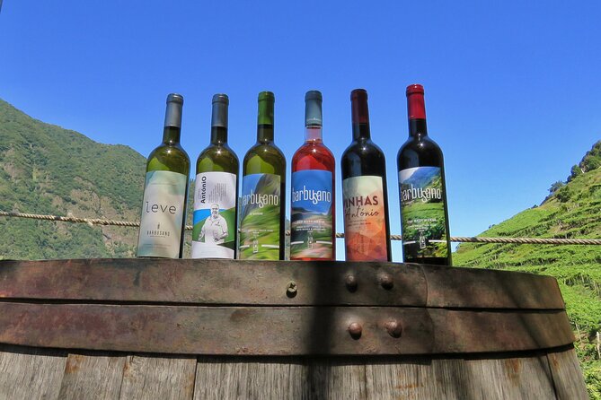 Guided 4x4 Adventure and Skywalk with Wine and Tapas in Madeira - Key highlights to look for