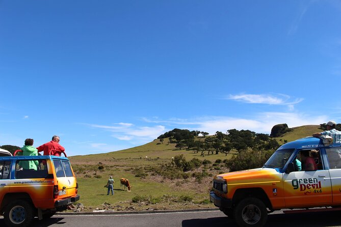 Guided Exploration of Southwest Madeira in a 4x4 - Paul da Serra and Pico Ruivo do Paul da Serra: plateau views and agriculture roots