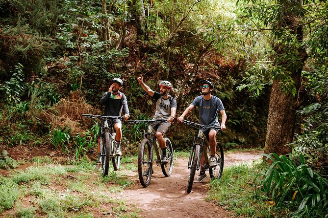 Guided Tour Electric Mountain Bike Experience - Key Things That Make This E-Bike Tour Work