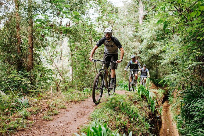 Guided Tour Electric Mountain Bike Experience - Getting to Poiso: Minibus Lift and the Start of Big Views