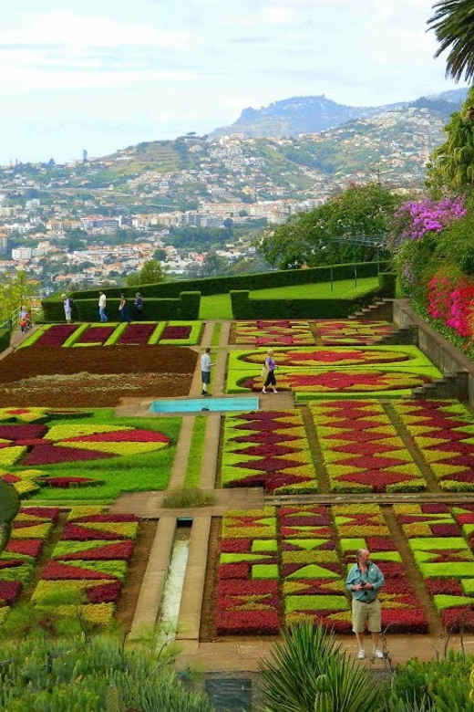 Guided Tuk-Tuk Tour to Botanical Garden (From Funchal) - Key highlights to look for