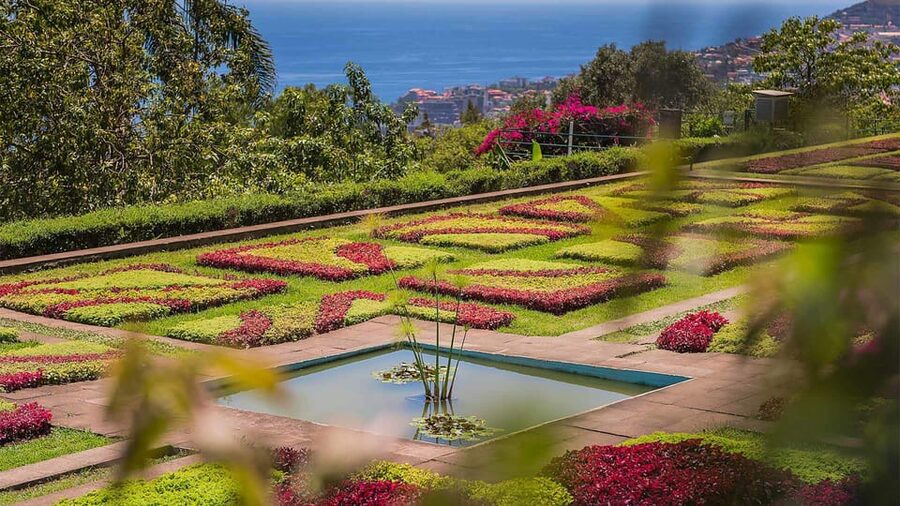 Guided Tuk-Tuk Tour to Botanical Garden (From Funchal) - Should You Book This Tuk-Tuk Botanical Garden Tour?