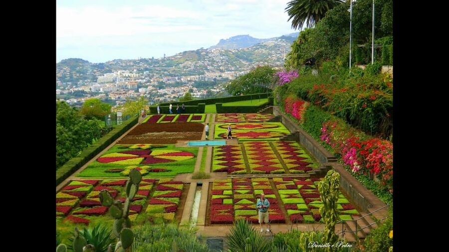 Guided Tuk-Tuk Tour to Botanical Garden (From Funchal) - A Tuk-Tuk Ride That Actually Gets You Into the Garden Story