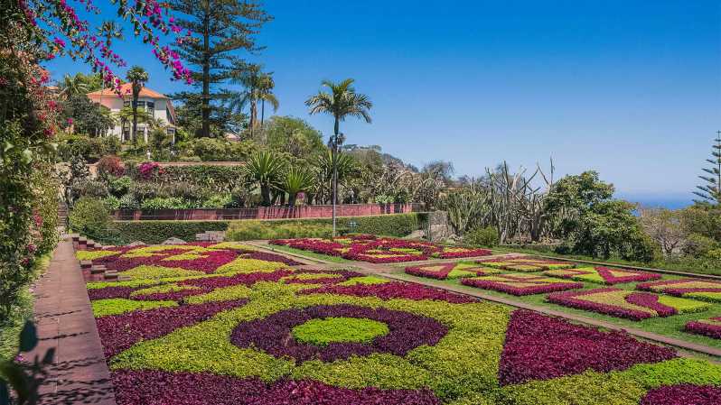Guided Tuk-Tuk Tour to Botanical Garden (From Funchal) - Quinta do Bom Sucesso: Why This Botanical Garden Is About More Than Flowers