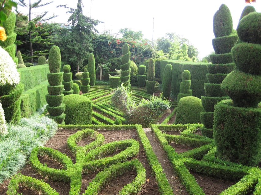 Guided Tuk-Tuk Tour to Botanical Garden (From Funchal) - The Tough Part: Managing Expectations for a 1-Hour Private Tour