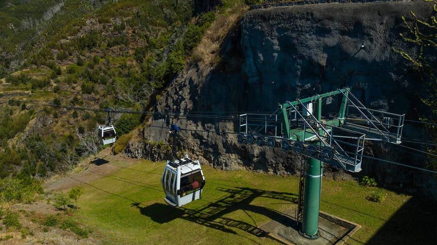 Guided Tuk-Tuk Tour to Botanical Garden (From Funchal) - Best Fit: Who Should Book This Tour (and Who Might Skip It)