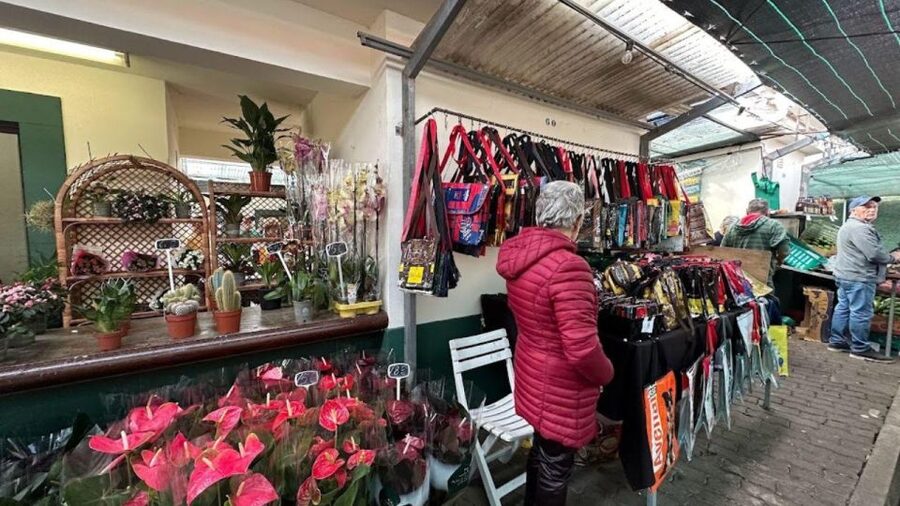 Half-Day Country Market Tour on Madeira Island - Who should book this tour, and who might feel disappointed
