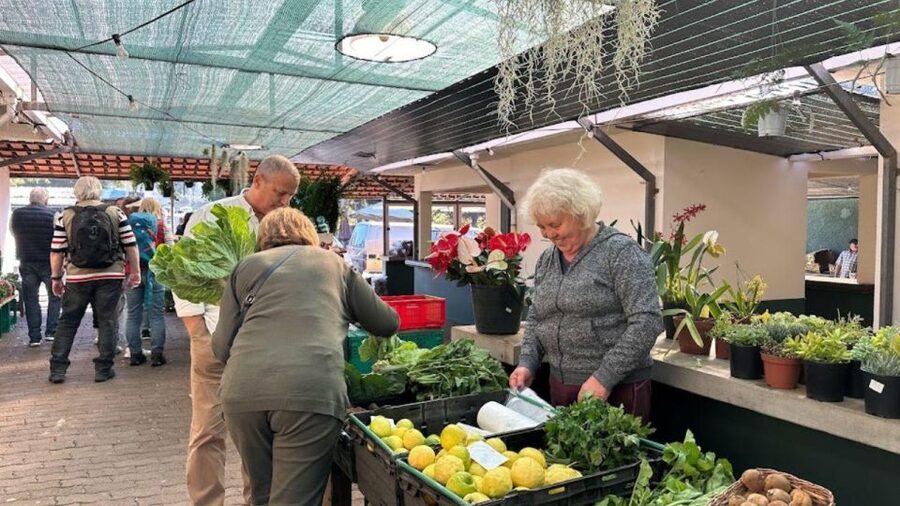 Half-Day Country Market Tour on Madeira Island - Quinta do Santo da Serra gardens: 20,000 square meters of plant variety and calm