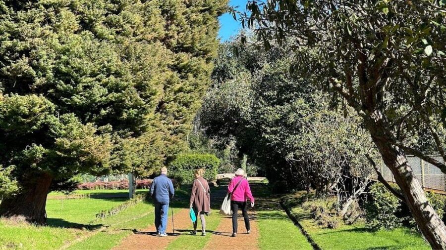 Half-Day Country Market Tour on Madeira Island - Languages, guide style, and how to get more out of the stops