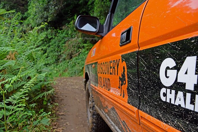 Half Day Jeep Safari Tour at Pico Areeiro and Santo da Serra - Pico do Areeiro, Madeira’s 1,818 m viewpoint stop