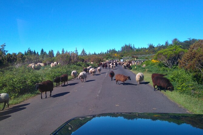 Half Day Jeep Safari Tour at Pico Areeiro and Santo da Serra - Santo da Serra: the calm parish stop that refreshes your senses