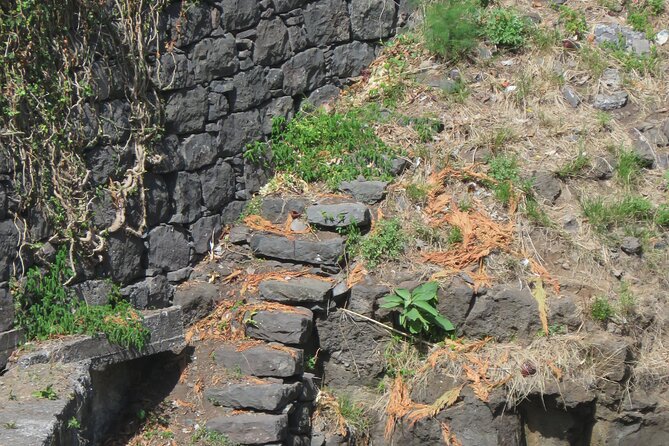 Half day jeep Wine tour and tasting, & sea cliff adventure - Ribeira Brava, Meia Légua, and Serra de Água: Farms, Terraces, and Quick Wins