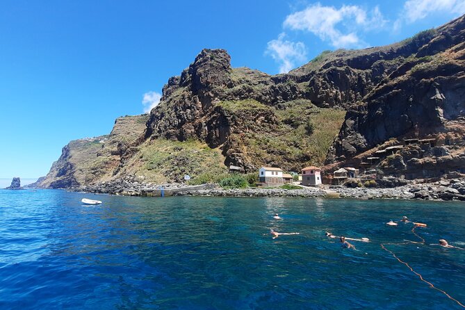 Half Day Madeira Island Cruise with Lunch - Wildlife chances: dolphins, whales, turtles, and why luck matters