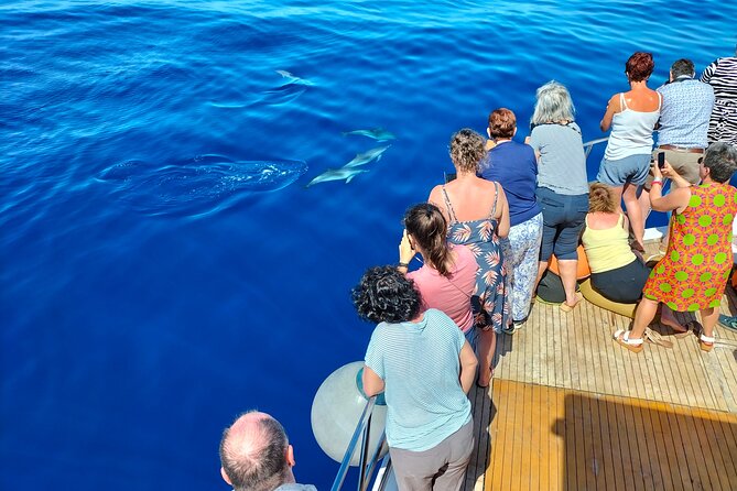 Half Day Madeira Island Cruise with Lunch - Buffet lunch on board: real food, not just a snack