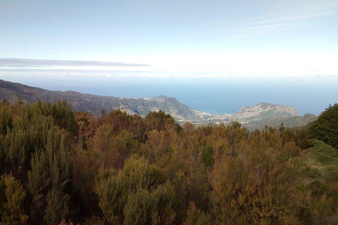 Half-Day Private Sidecar Tour on Madeira’s West Coast - Where you start and end in Funchal