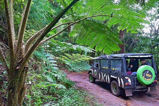 Half-Day Small-Group Madeira Village Safari from Funchal - Key things that make this safari worth your time
