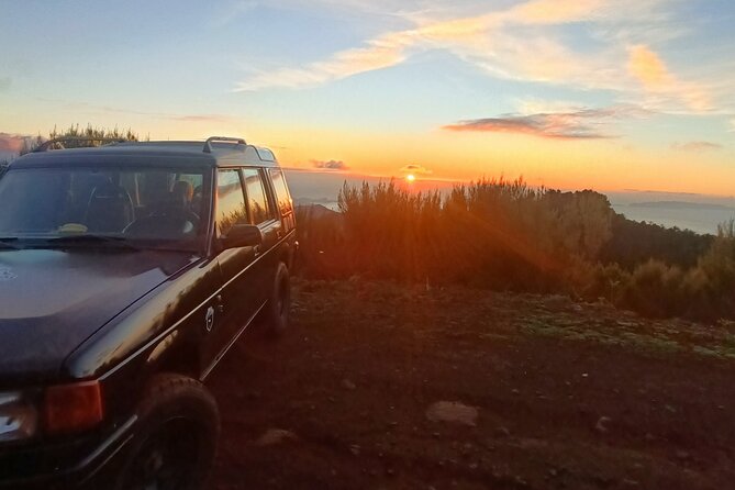 Half day Tour From 0 To 1818 Meters To Pico Do Arieiro Sunrise - The guide and small group size, why it feels smoother than big tours