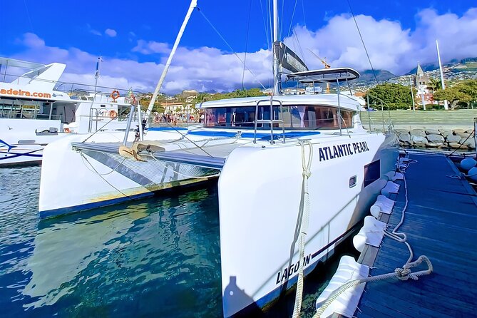 Half Day Tour on a Luxury Catamaran on Madeira Island - The 3-Hour Plan: Spot Cetaceans, Swim, Then Cruise Back Along the Coast