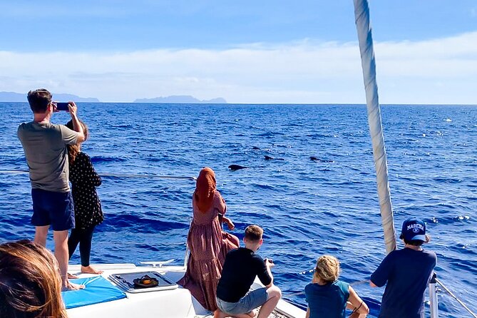 Half Day Tour on a Luxury Catamaran on Madeira Island - Getting There: The Praça do Povo Meeting Point and Simple Timing Tips