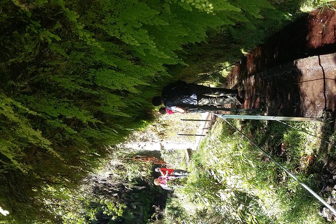 Hike in Laurisilva Levada do Rei - Madre of Life small Group guided walk - Your day plan: how the full 7 to 8 hours is likely to feel