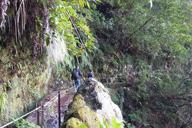Hike in Laurisilva Levada do Rei - Madre of Life small Group guided walk - Small group hiking benefits you will actually feel