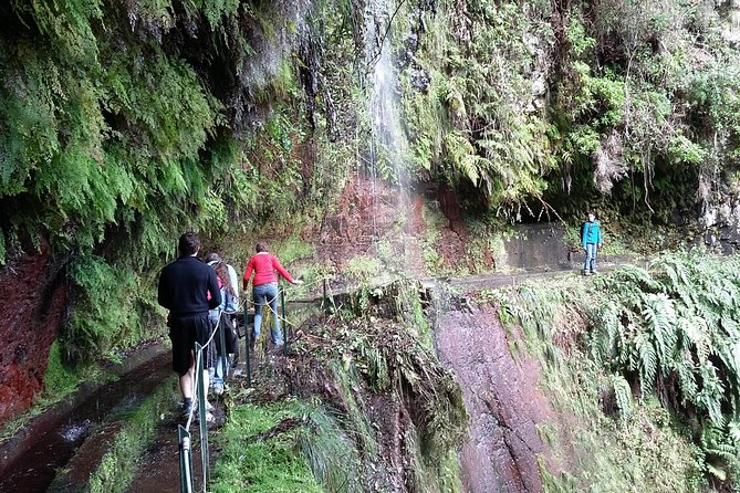 Hike in Laurisilva Levada do Rei - Madre of Life small Group guided walk - What to bring for Madeira weather on a guided hike