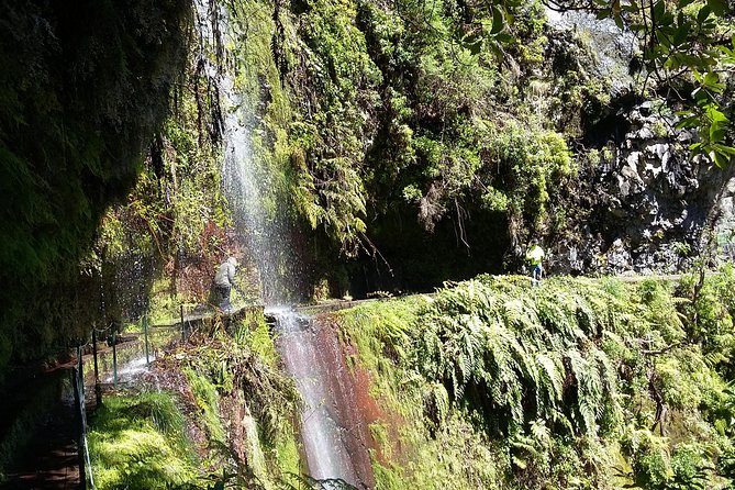 Hike in Laurisilva Levada do Rei - Madre of Life small Group guided walk - Who should book this Levada do Rei guided walk