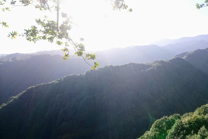 Hike in Laurisilva Levada do Rei - Madre of Life small Group guided walk - Stop 1: Levada do Rei and the 4-hour trail rhythm
