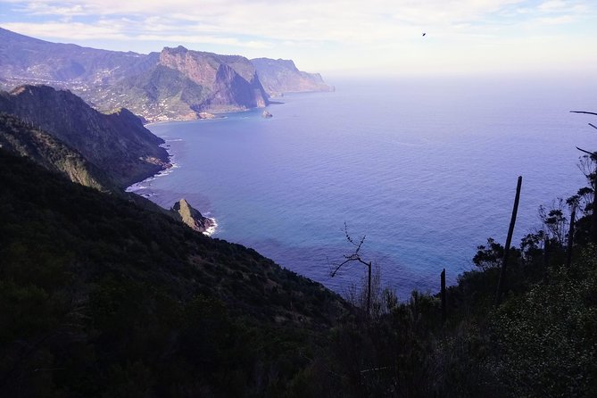 Hike Larano, Boca do Risco Porto da Cruz Levada in a small group - Price and value: $95 for a guided, picked-up hike
