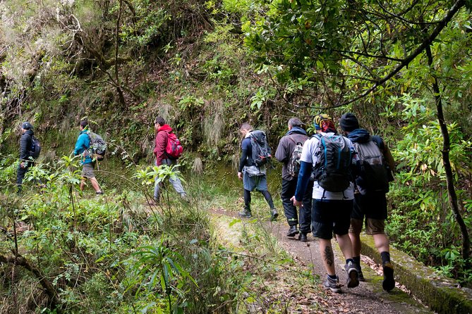 Hiking and Trekking tours in Madeira - Key Highlights You Will Feel on the Trail