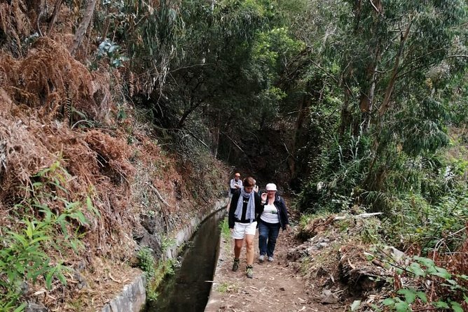 Hiking and Trekking tours in Madeira - Pace, Footwear, and the Snacks-Lunch Reality Check