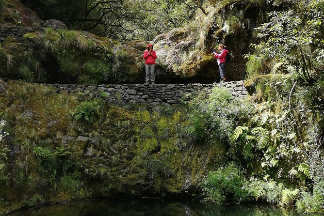 Hiking and Trekking tours in Madeira - Small Group of Eight: Why the Experience Feels Personal Without Being Complicated