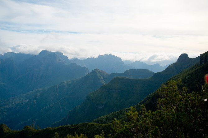 Hiking and Trekking tours in Madeira - What Happens During the Walk, and How You Finish the Day
