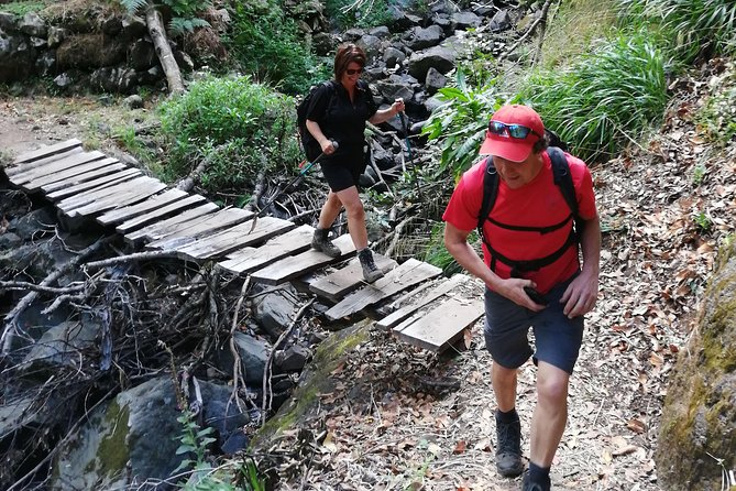 Hiking and Trekking tours in Madeira - Price and Value: Is $120.02 for a 7-Hour Levada Day a Smart Move?