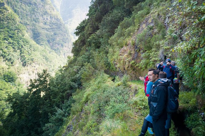 Hiking and Trekking tours in Madeira - Volcanic Views, Forest Air, and the Flora and Fauna Lesson You’ll Actually Remember
