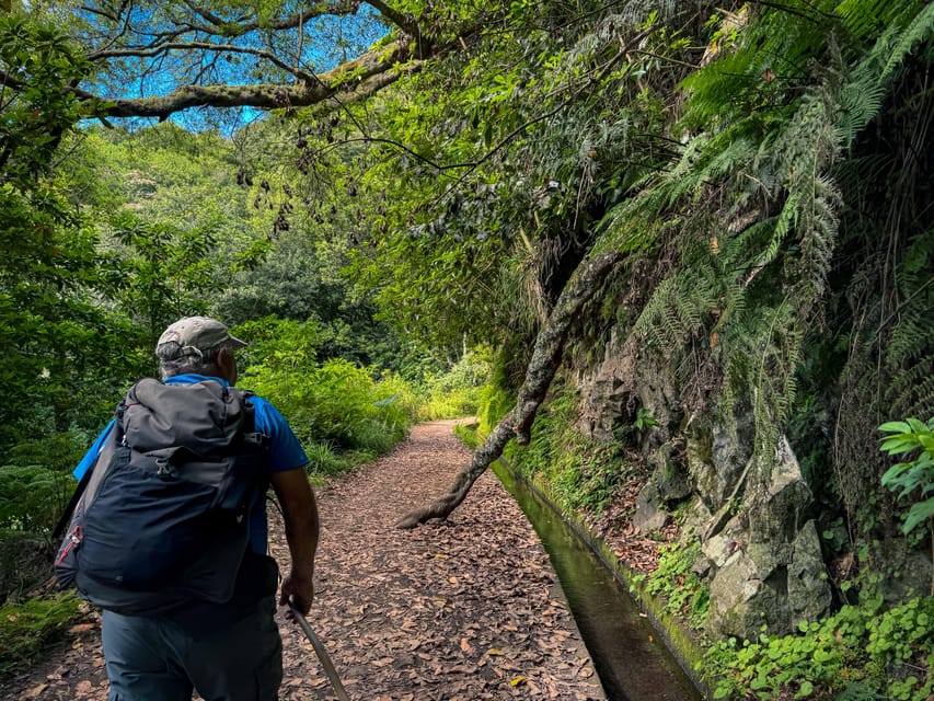Hiking Madeira: Levada do Rei and the Majestic Laurissilva - Key highlights you will feel on the trail