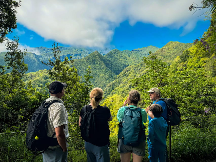 Hiking Madeira: Levada do Rei and the Majestic Laurissilva - Getting started in São Jorge: pickup, van ride, and a real warm-up
