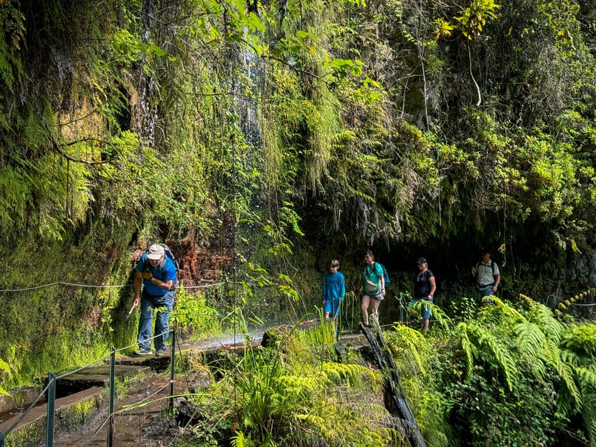 Hiking Madeira: Levada do Rei and the Majestic Laurissilva - The waterfall photo moment and Ribeiro Bonito’s quiet reset