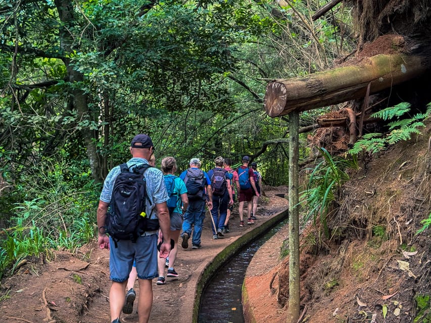 Hiking Madeira: Levada do Rei and the Majestic Laurissilva - Laurisilva breaks: when the day breathes