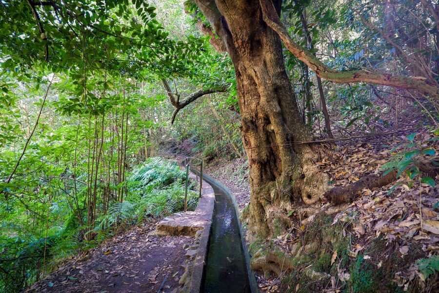 Hiking Madeira: Levada do Rei and the Majestic Laurissilva - Views you might catch, Penha d’Aguia and Porto Santo