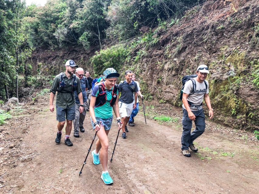 Hiking Trip with a Local - Dino and Madeira hiking that feels personal, not packaged