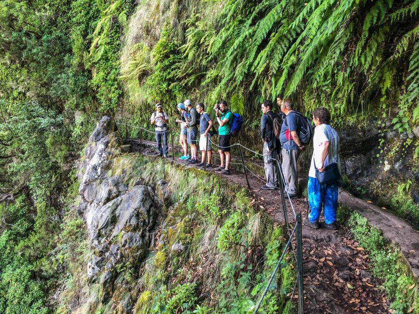 Hiking Trip with a Local - UNESCO Laurissilva: the forest that explains Madeira’s magic