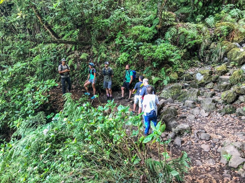Hiking Trip with a Local - Choosing your trail: the weekly lineup and what each hike feels like