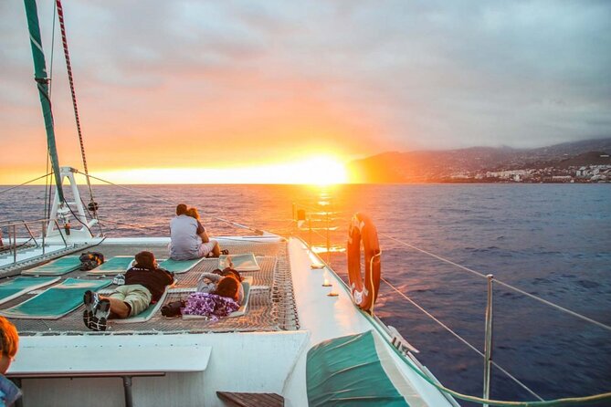 Hop-on Hop-off Bus Tour and Catamaran Whale & Dolphin Watching - Key Points You Should Know Before You Go