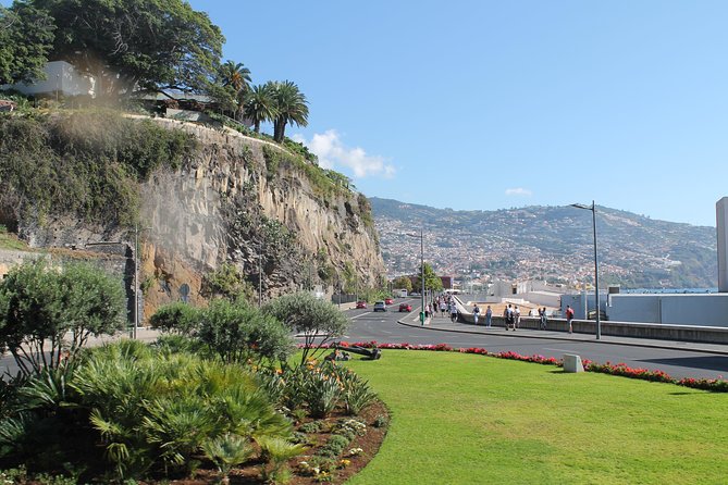 Hop-on Hop-off Bus Tour and Catamaran Whale & Dolphin Watching - Madeira Wine, Embroidery, and Included Discounts