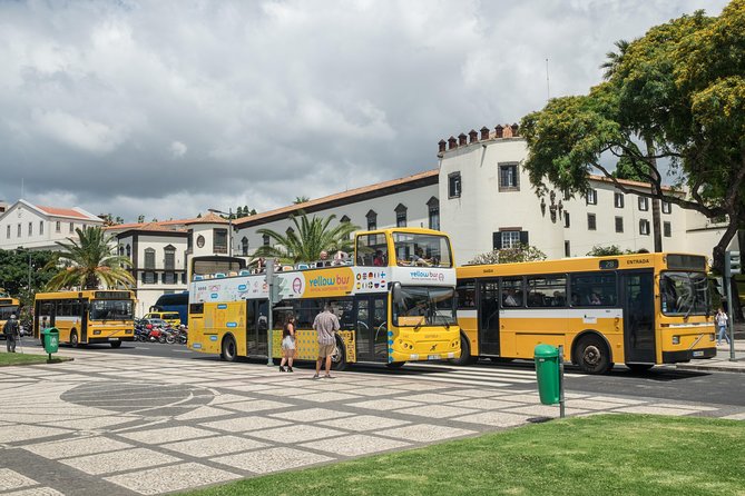 Hop-on Hop-off Bus Tour and Catamaran Whale & Dolphin Watching - The Catamaran Cruise: Whale and Dolphin Watching From Madeira’s Coast